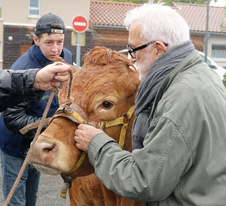 Circulation et stationnement pendant le Salon