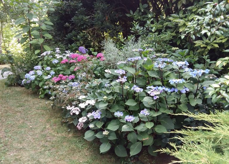 Visite du Jardin de la Forêt