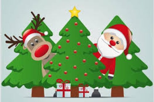 Vente de sapins de Noël