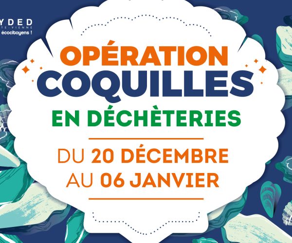 Opération de collecte de coquilles