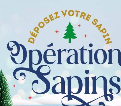 Collecte de sapins de Noël