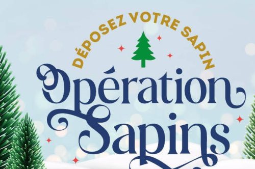 Collecte de sapins de Noël