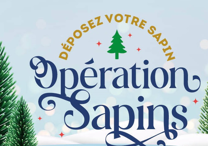 Collecte de sapins de Noël