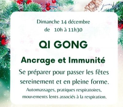 Stage de Qi Gong