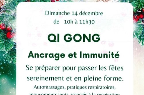 Stage de Qi Gong