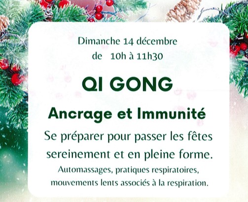 Stage de Qi Gong
