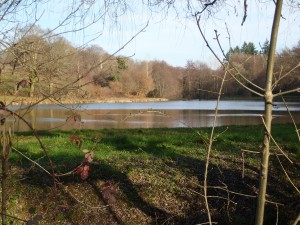 Ouverture de la pêche à l’étang de la Chèze