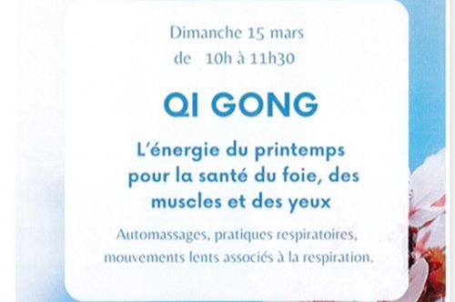 Stage de Qi Gong