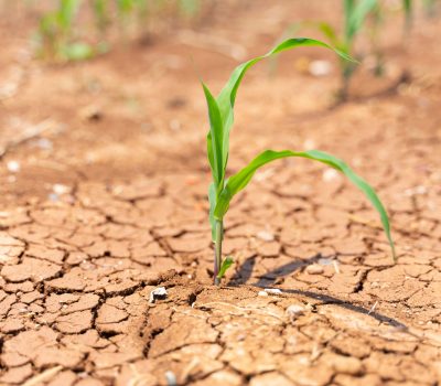Sécheresse : maintien et adaptation des mesures de sécurité