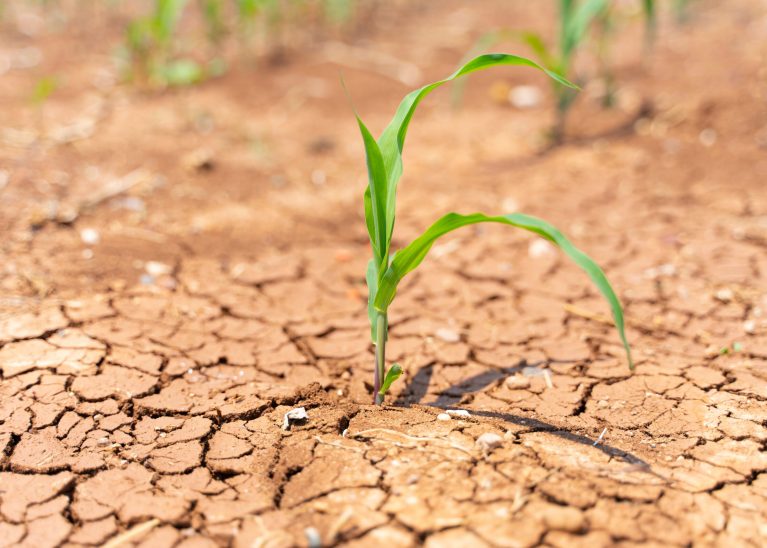Sécheresse : maintien et adaptation des mesures de sécurité