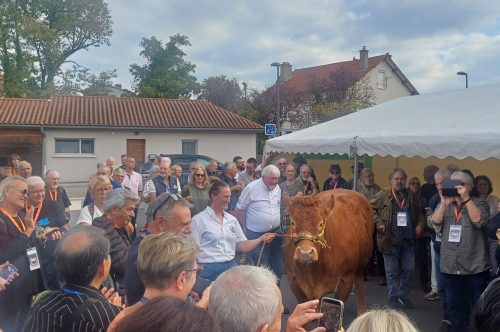 Cristina Sampaio remporte le prix de l&rsquo;Humour Vache